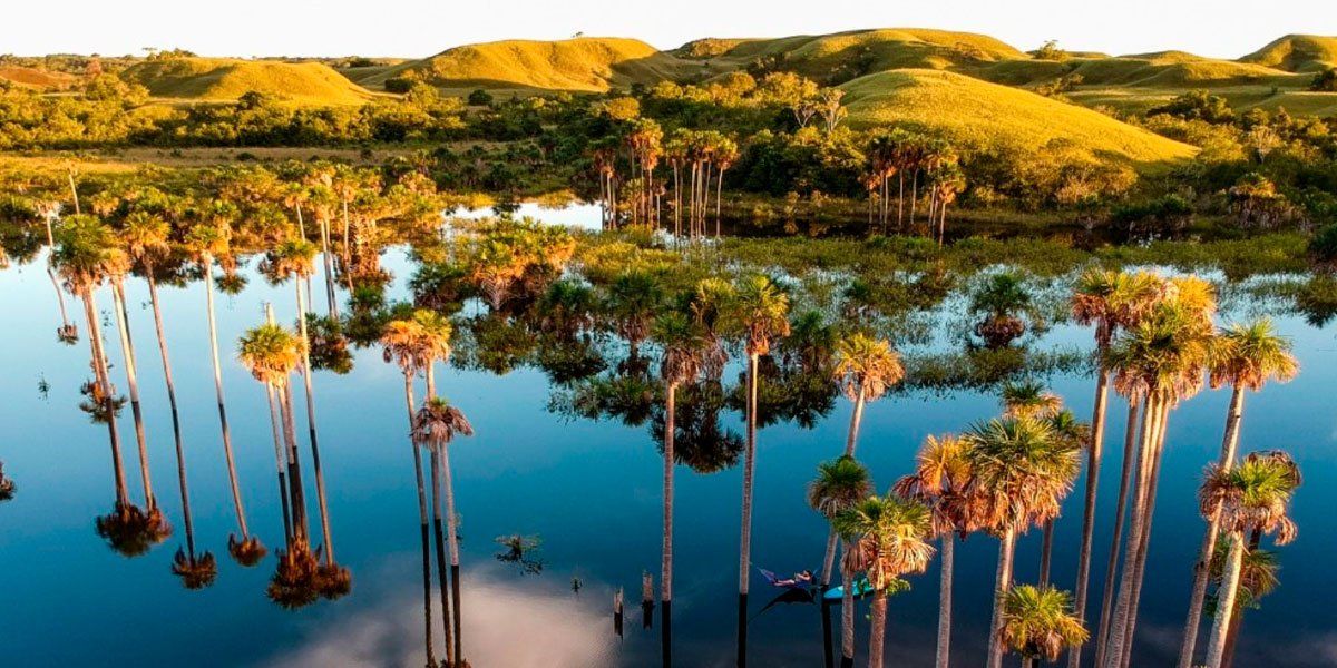 Los ecosistemas de la Orinoquía: la riqueza natural que da vida a los Llanos